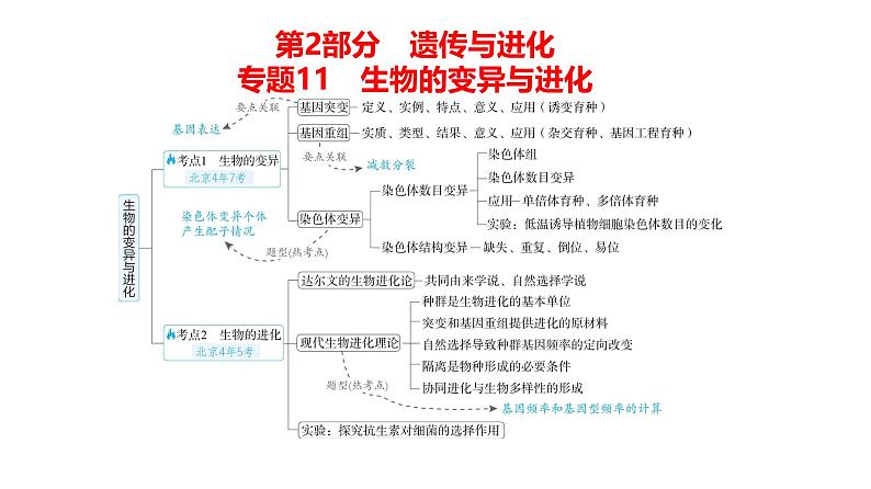 高考生物二轮复习讲解课件:专题11 生物的变异与进化01