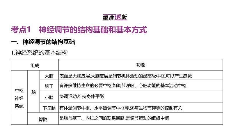 高考生物二轮复习讲解课件:专题13 神经调节02