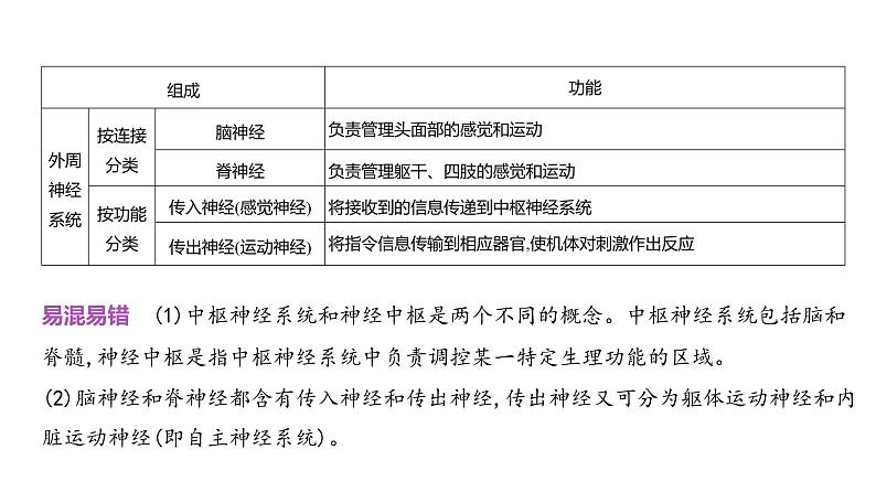 高考生物二轮复习讲解课件:专题13 神经调节03
