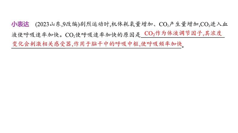 高考生物二轮复习讲解课件:专题13 神经调节04