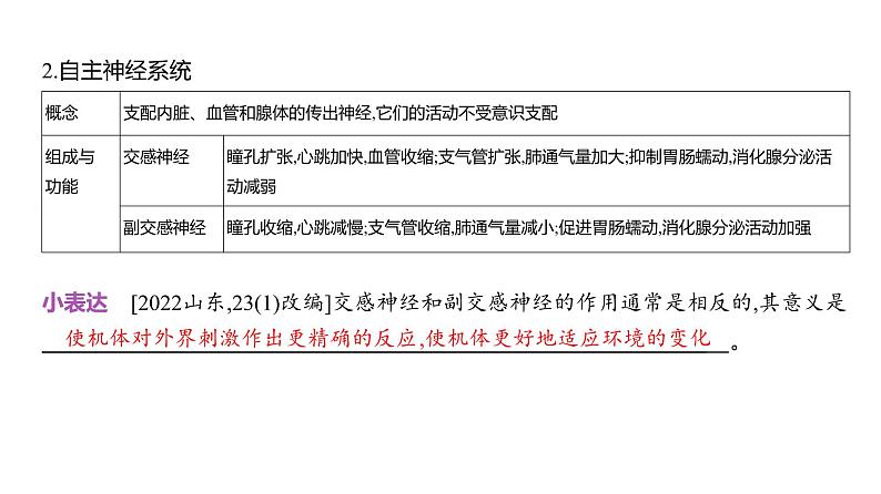 高考生物二轮复习讲解课件:专题13 神经调节05