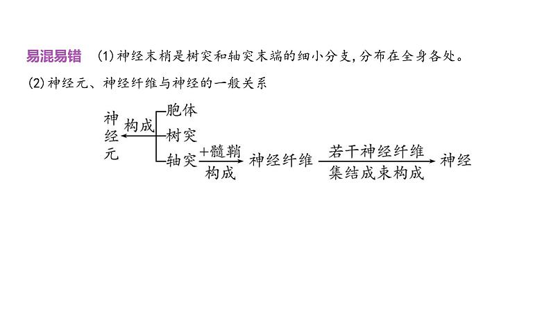 高考生物二轮复习讲解课件:专题13 神经调节07