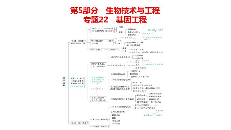 高考生物二轮复习讲解课件:专题22 基因工程第1页