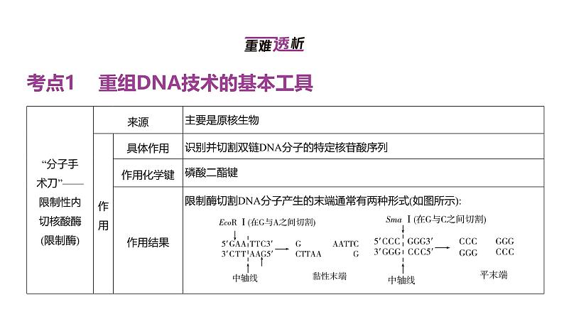 高考生物二轮复习讲解课件:专题22 基因工程第2页