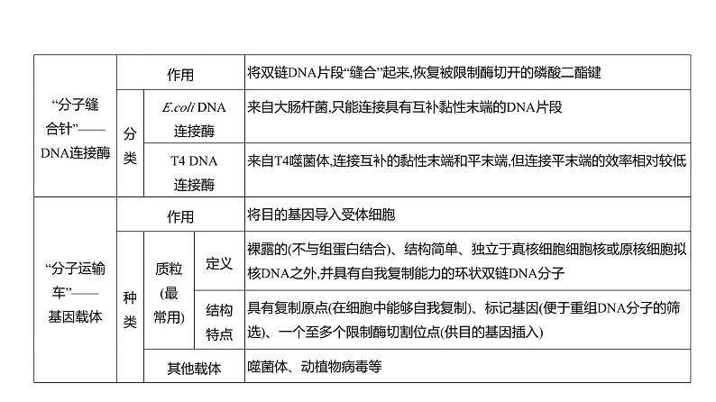 高考生物二轮复习讲解课件:专题22 基因工程第3页