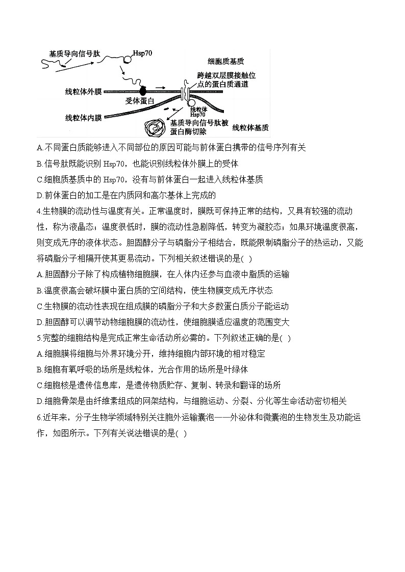 专题2 细胞的结构与物质运输(选择题)-2025年高考生物二轮复习模块分练【新高考版】(含解析)02