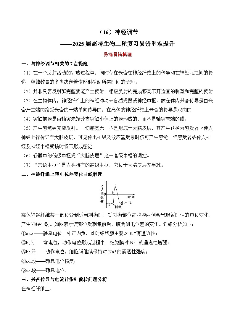 专题16 神经调节(练习)--2025年高考生物二轮复习易错重难提升学案专题(含解析 )01
