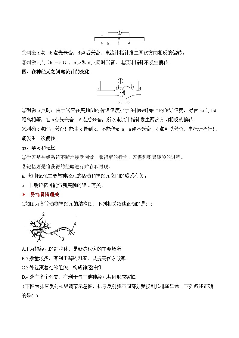 专题16 神经调节(练习)--2025年高考生物二轮复习易错重难提升学案专题(含解析 )02