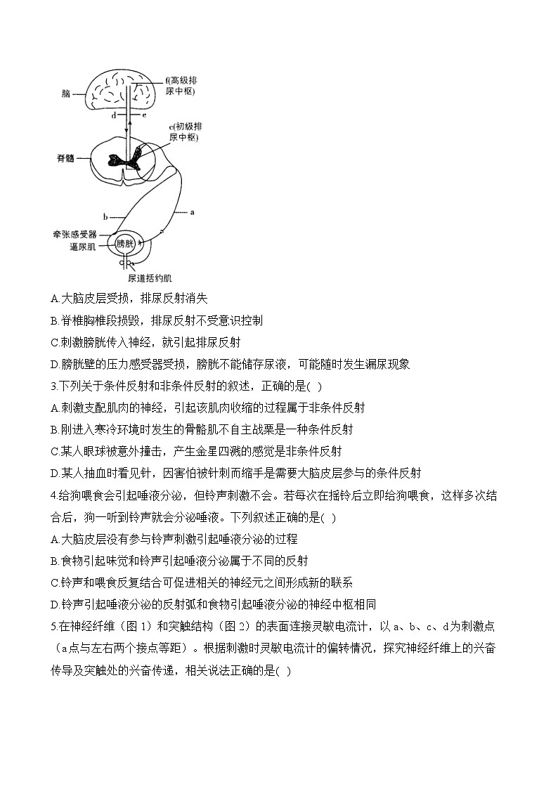 专题16 神经调节(练习)--2025年高考生物二轮复习易错重难提升学案专题(含解析 )03