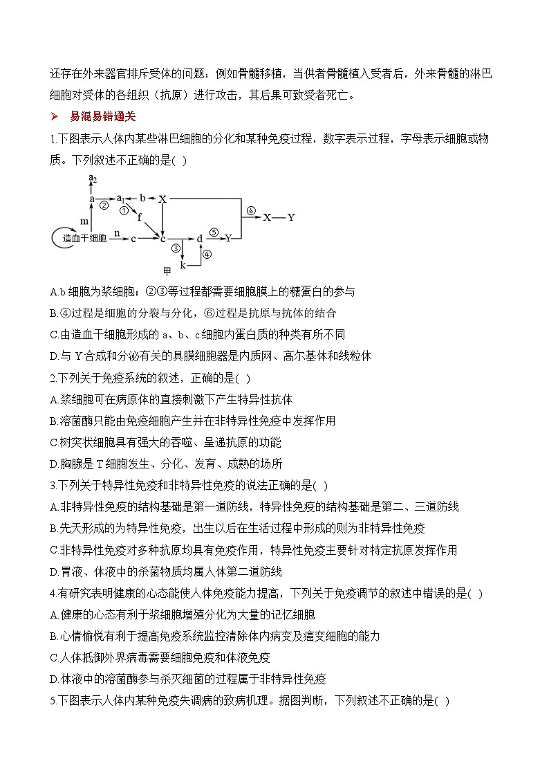 專題18 免疫調(diào)節(jié)（練習(xí)）--2025年高考生物二輪復(fù)習(xí)易錯重難提升學(xué)案專題（含解析 ）第3頁