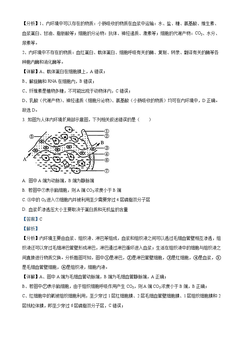 2025沧州八县联考高二上学期10月期中联考生物试题含解析02