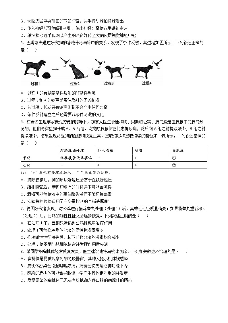 2025南阳六校高二上学期10月期中考试生物含解析第2页