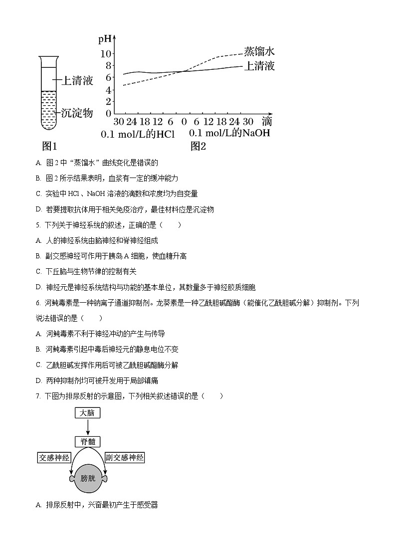 2025河南省许平汝名校高二上学期10月月考试题生物含答案第2页