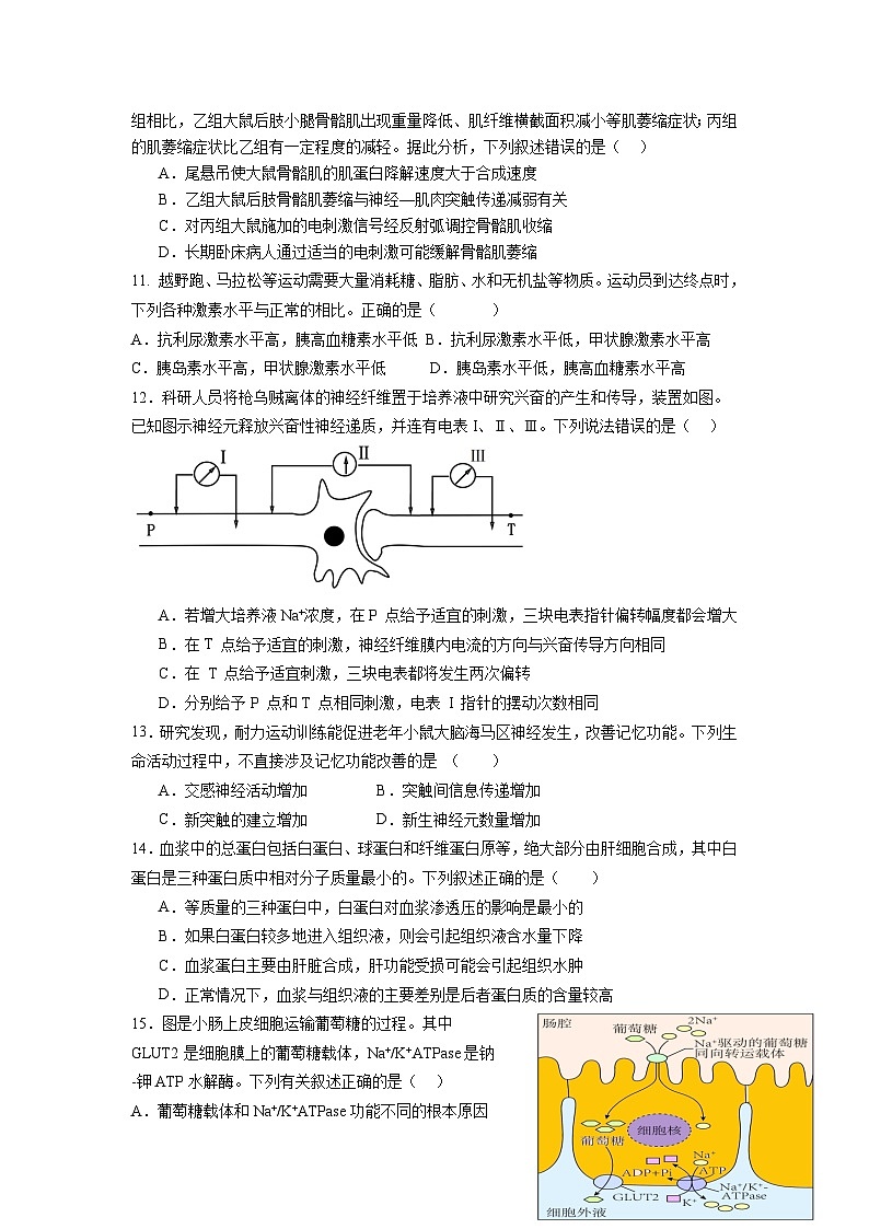 2025福州一中高二上学期10月月考试题生物含答案03