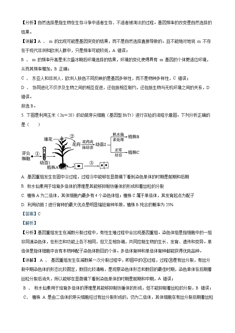 重庆市铜梁一中2024-2025学年高二上学期10月月考生物试题含解析第3页