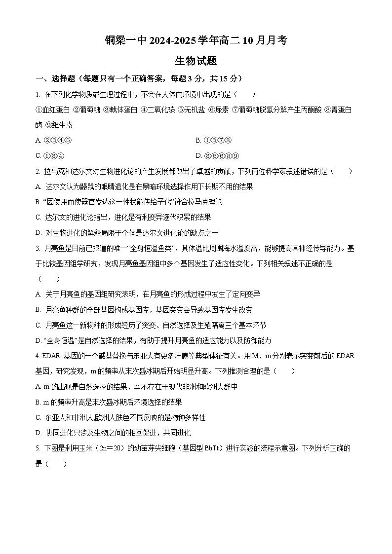 重庆市铜梁一中2024-2025学年高二上学期10月月考生物试题无答案第1页