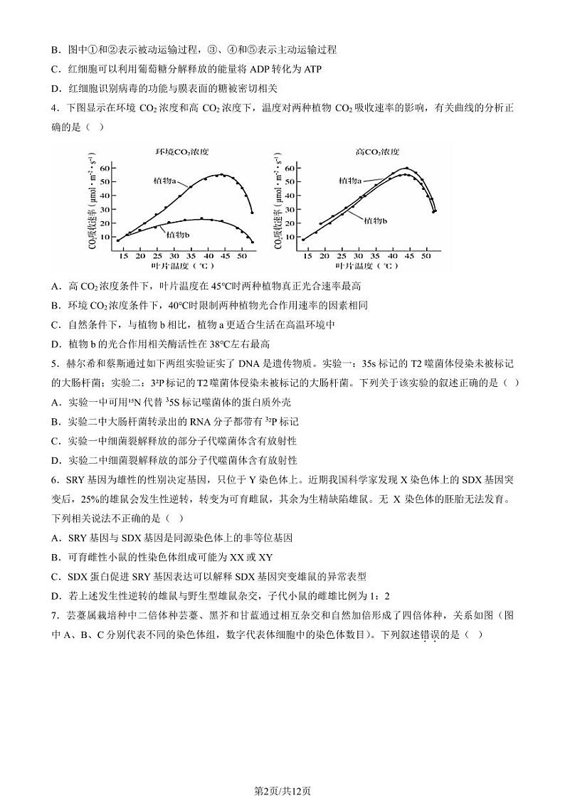 2024北京五十五中高三上学期期中生物试题及答案第2页