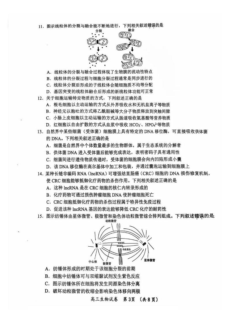 江苏省常州市2024-2025学年高三上学期期中考试生物试题03