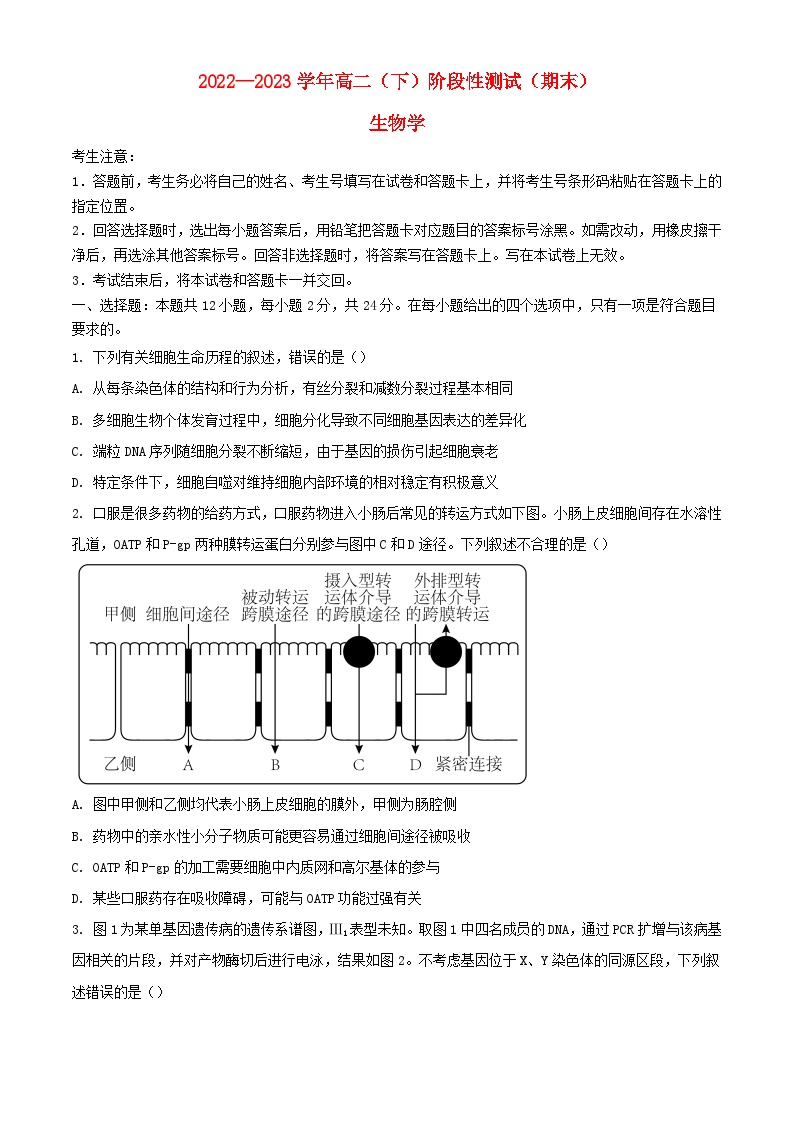 安徽省合肥市肥西县2022_2023学年高二生物下学期期末考试