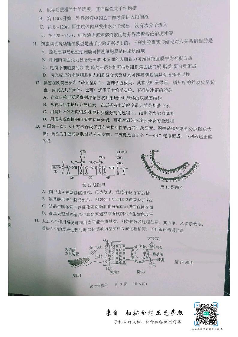 广东诗莞市2022_2023学年高一生物上学期期末考试pdf无答案第3页