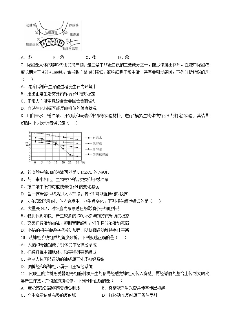 广东省部分学校2024-2025学年高二上学期期中联考生物试题第2页