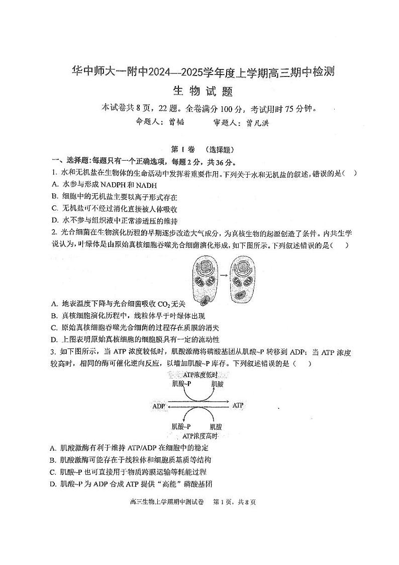 湖北省武汉市华中师范大学第一附属中学2024-2025学年高三上学期期中检测生物学试卷01