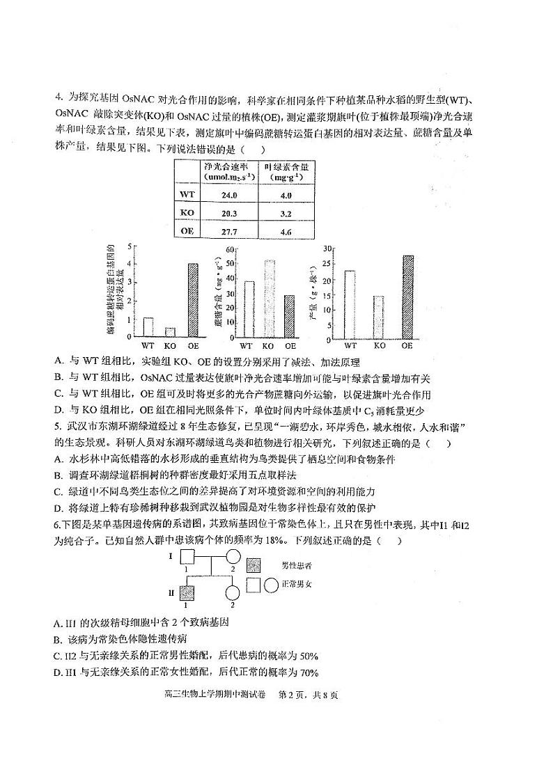 湖北省武汉市华中师范大学第一附属中学2024-2025学年高三上学期期中检测生物学试卷02
