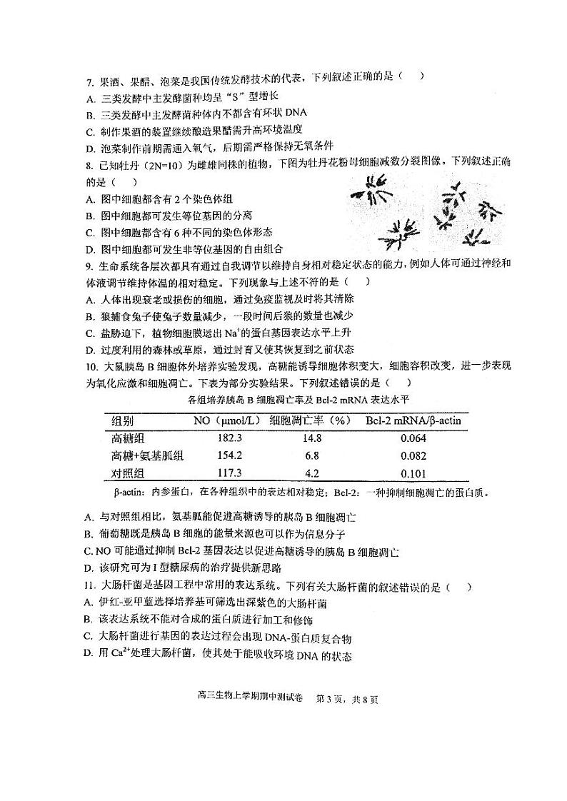 湖北省武汉市华中师范大学第一附属中学2024-2025学年高三上学期期中检测生物学试卷03
