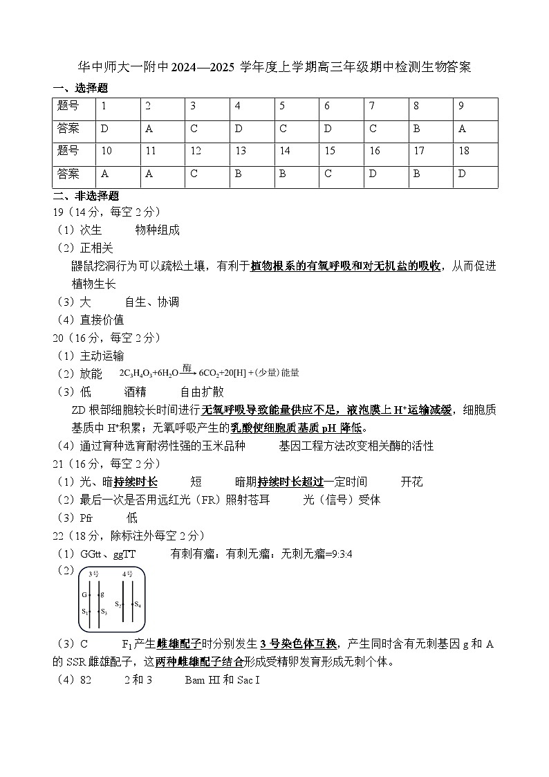 湖北省武汉市华中师范大学第一附属中学2024-2025学年高三上学期期中检测生物学试卷01