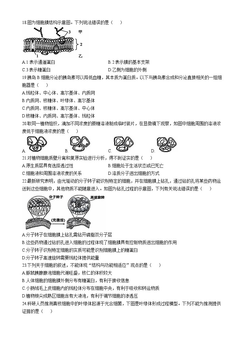 天津市蓟州区2024-2025学年高一上学期11月期中生物试题第3页
