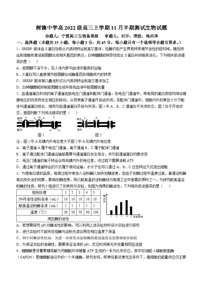 四川省成都市树德中学2024-2025学年高三上学期期中考试生物试题01