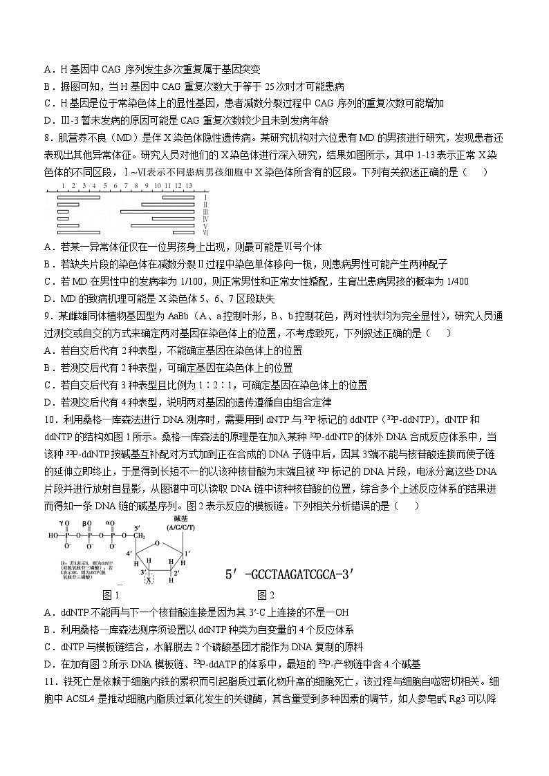 四川省成都市树德中学2024-2025学年高三上学期期中考试生物试题03