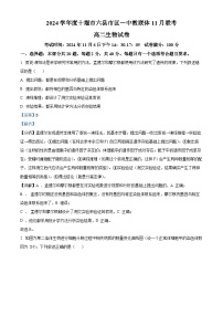 湖北省十堰市六县市区一中教联体2024-2025学年高二上学期11月联考生物试卷（Word版附解析）