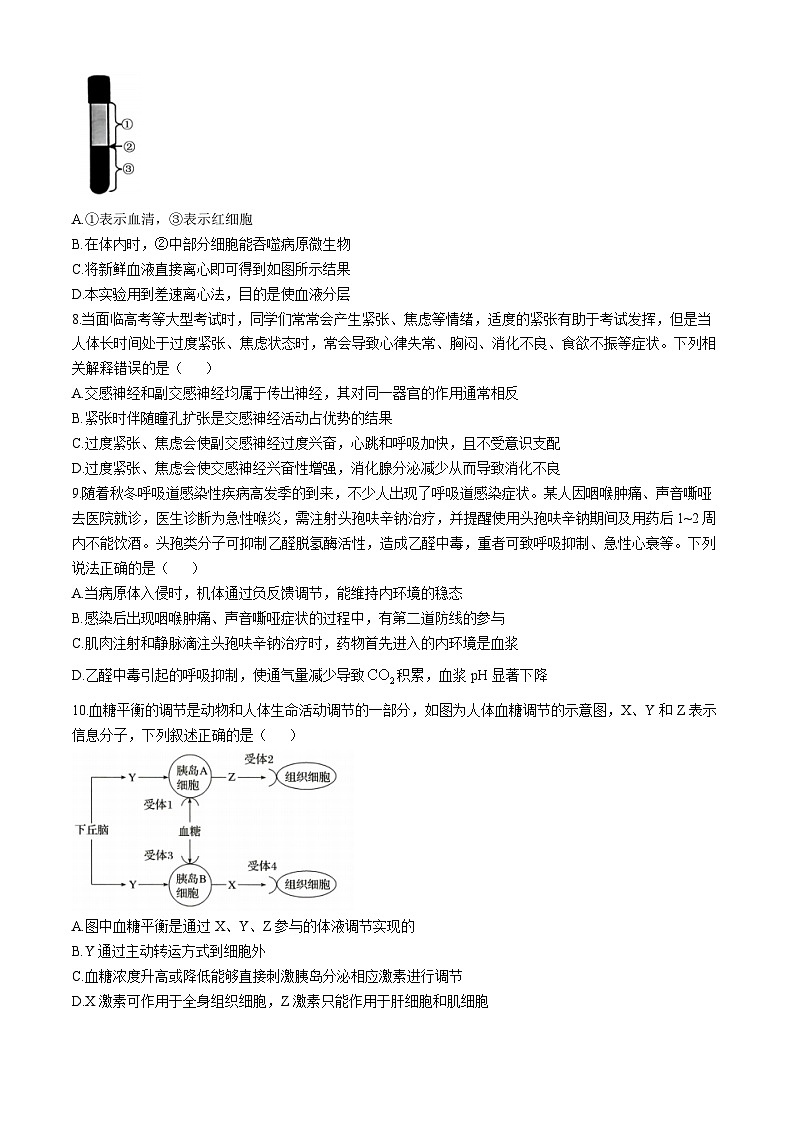 浙江省台州市临海市台州市十校联盟2024-2025学年高二上学期11月期中生物试卷(Word版附答案)第2页