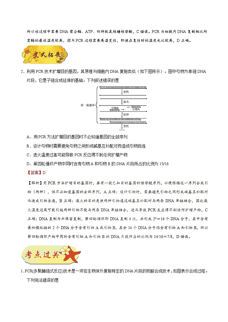 备战2025年高考生物考点一遍过考点80PCR技术教案(Word版附解析)03