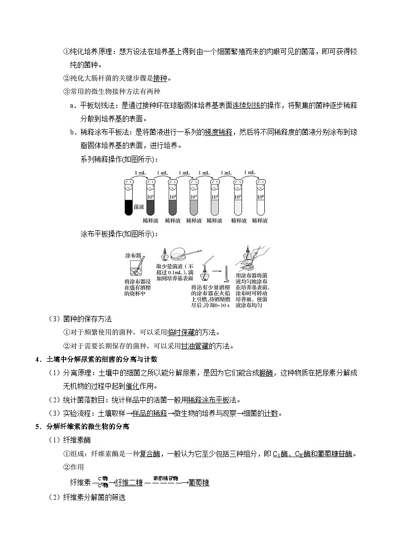 备战2025年高考生物考点一遍过考点71微生物的培养和应用教案(Word版附解析)第2页