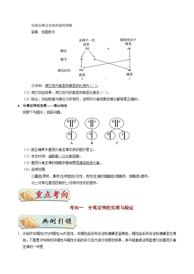 备战2025年高考生物考点一遍过考点35基因的分离定律教案(Word版附解析)第2页