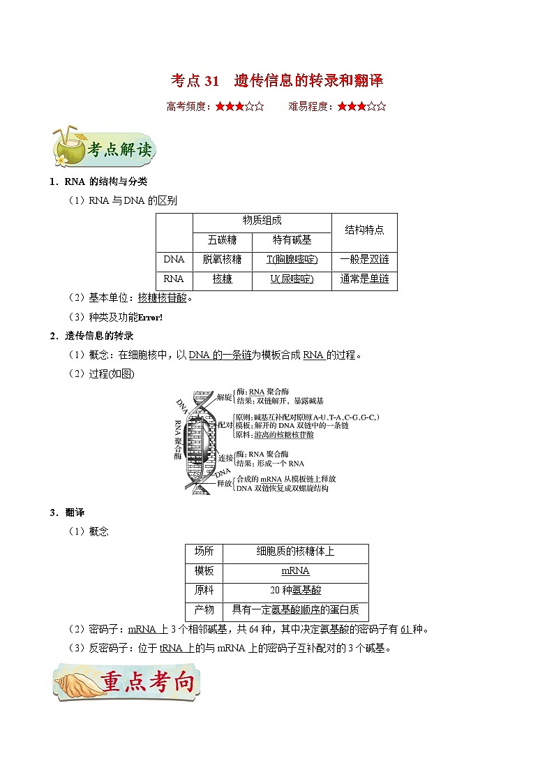 备战2025年高考生物考点一遍过考点31遗传信息的转录和翻译教案(Word版附解析)第1页