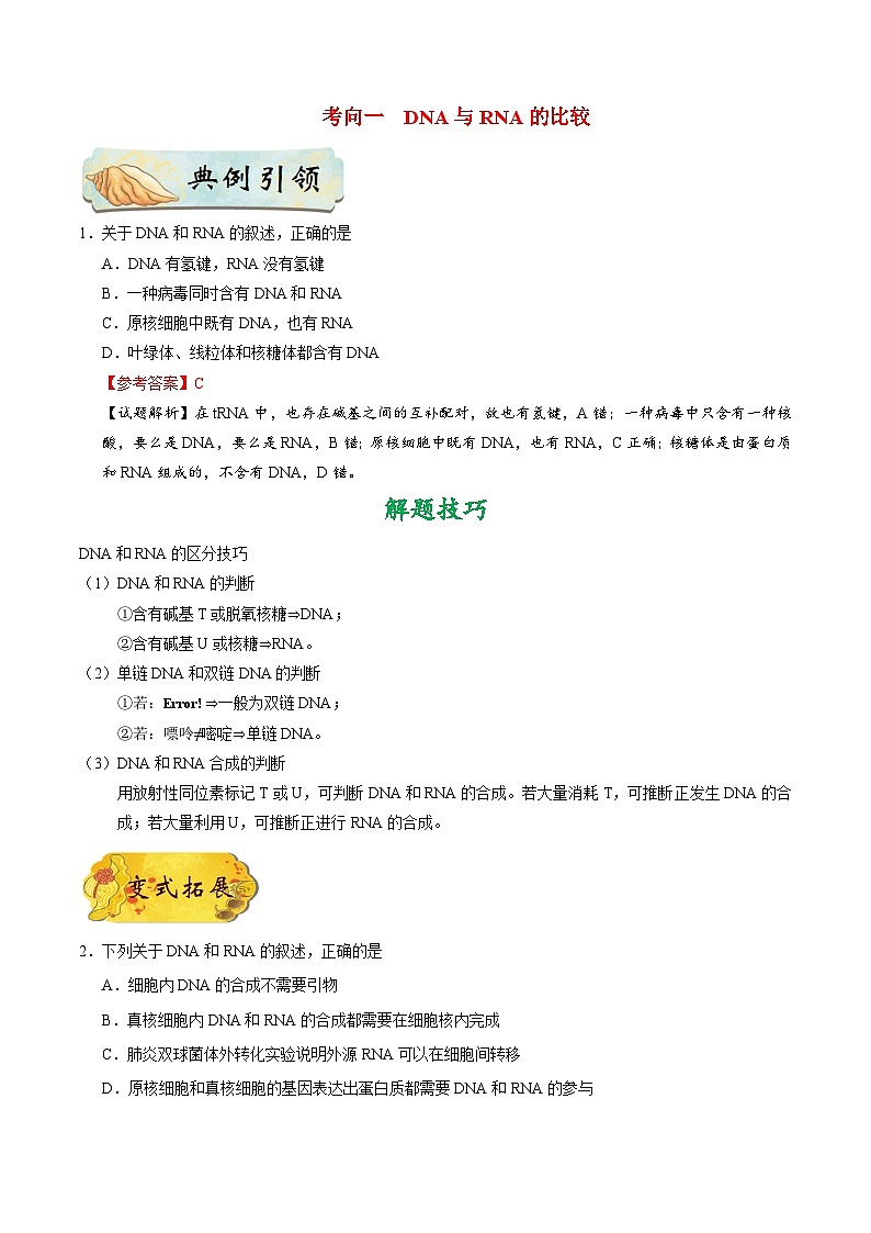 备战2025年高考生物考点一遍过考点31遗传信息的转录和翻译教案(Word版附解析)第2页