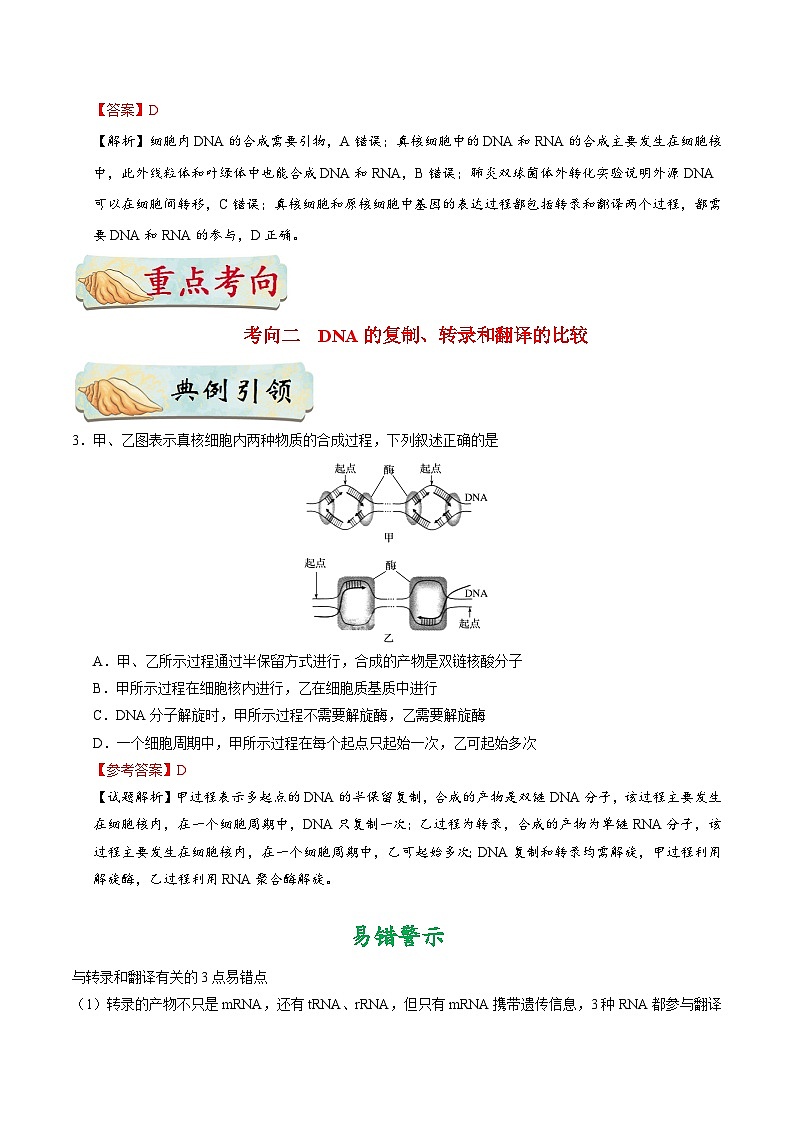 备战2025年高考生物考点一遍过考点31遗传信息的转录和翻译教案(Word版附解析)第3页