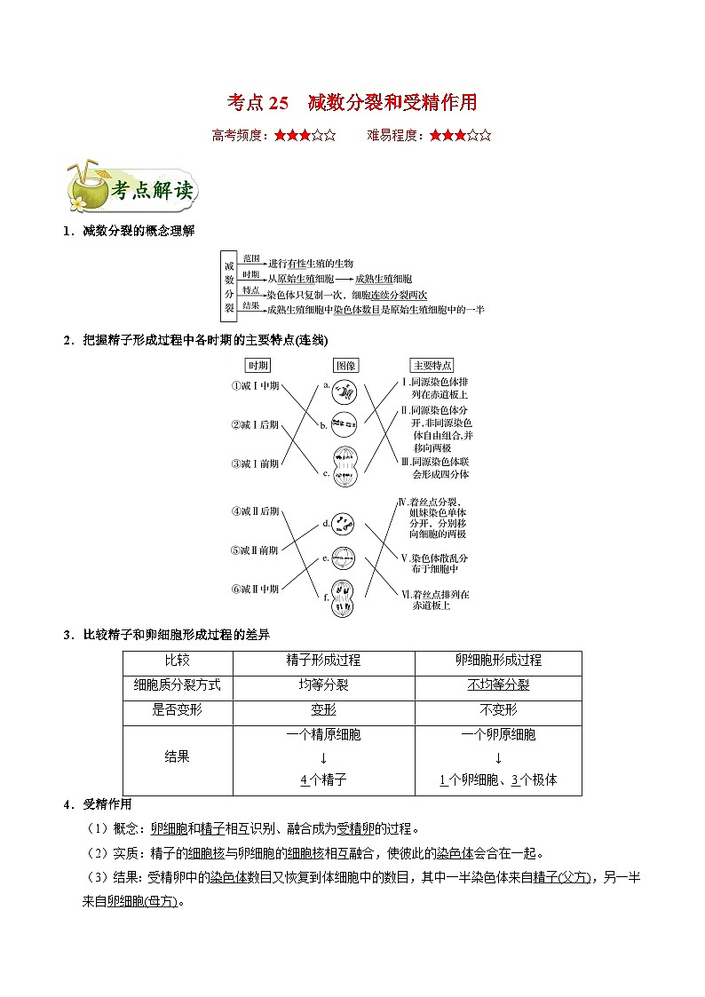 备战2025年高考生物考点一遍过考点25减数分裂和受精作用教案(Word版附解析)第1页