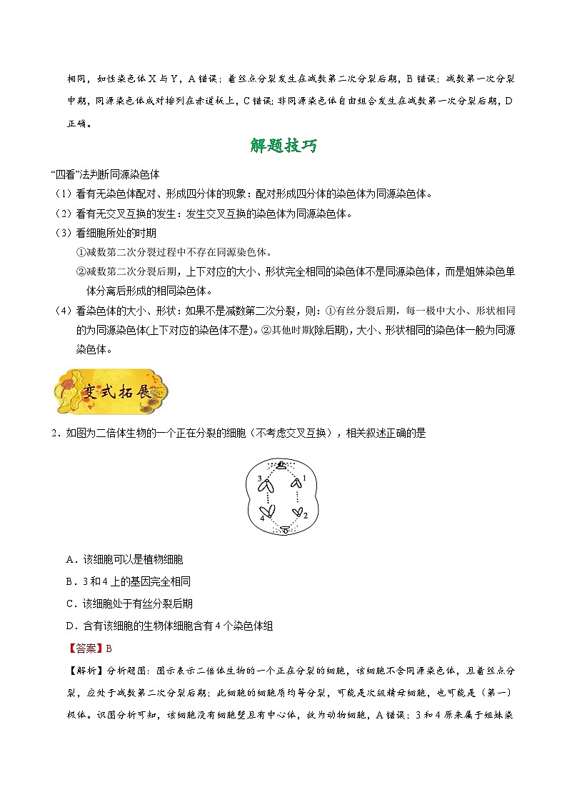 备战2025年高考生物考点一遍过考点25减数分裂和受精作用教案(Word版附解析)第3页