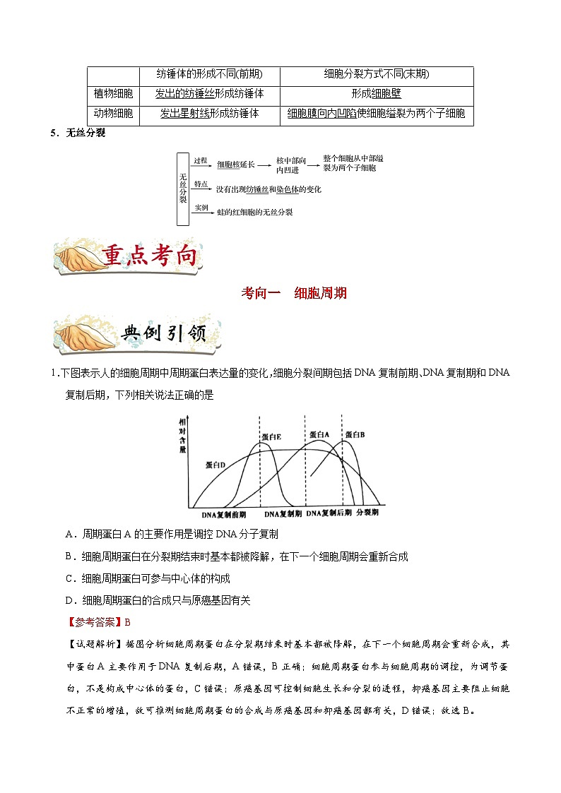 备战2025年高考生物考点一遍过考点21细胞的增殖教案(Word版附解析)02