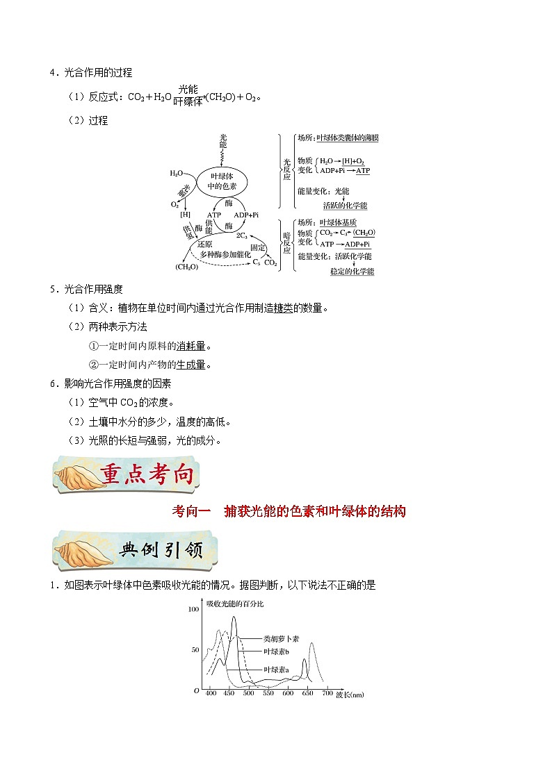 备战2025年高考生物考点一遍过考点19光合作用教案(Word版附解析)02