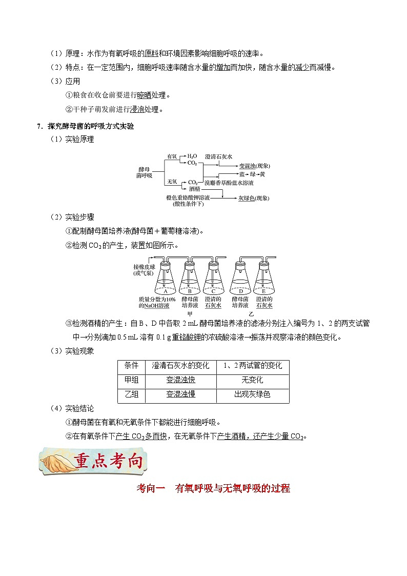 备战2025年高考生物考点一遍过考点17细胞呼吸教案(Word版附解析)03