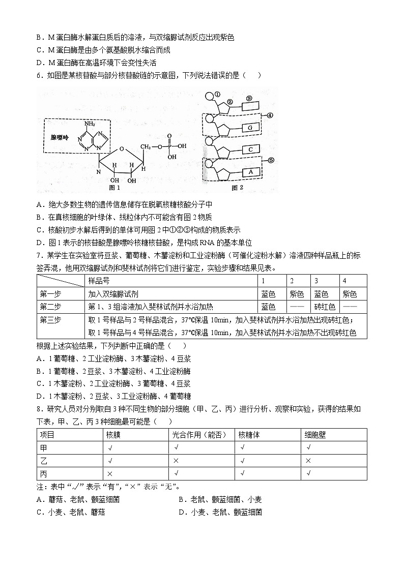 甘肃省名校联盟2024-2025学年高一上学期期中考试生物试题02