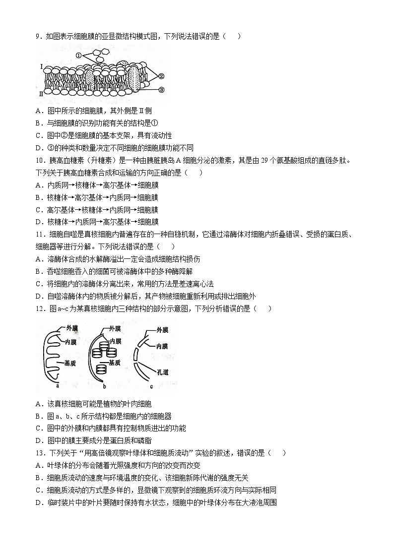 甘肃省名校联盟2024-2025学年高一上学期期中考试生物试题03