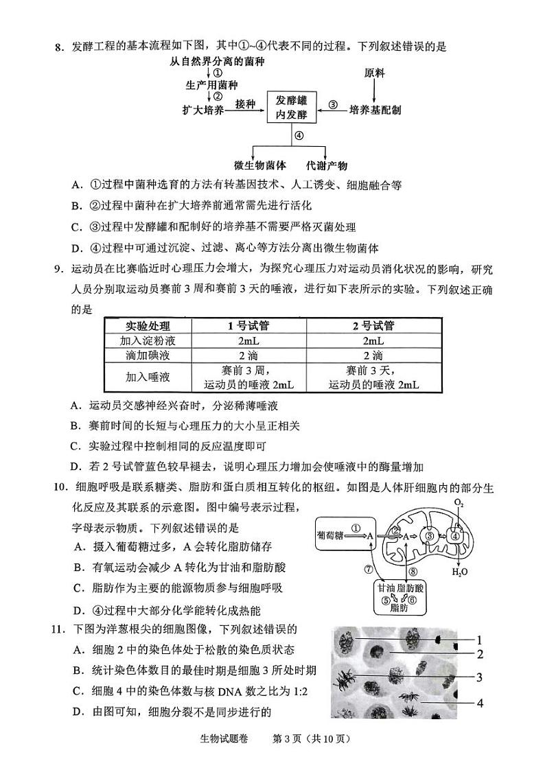 2025届浙江省绍兴市高考选考科目诊断性考试(绍兴一模)高三生物试题+答案03