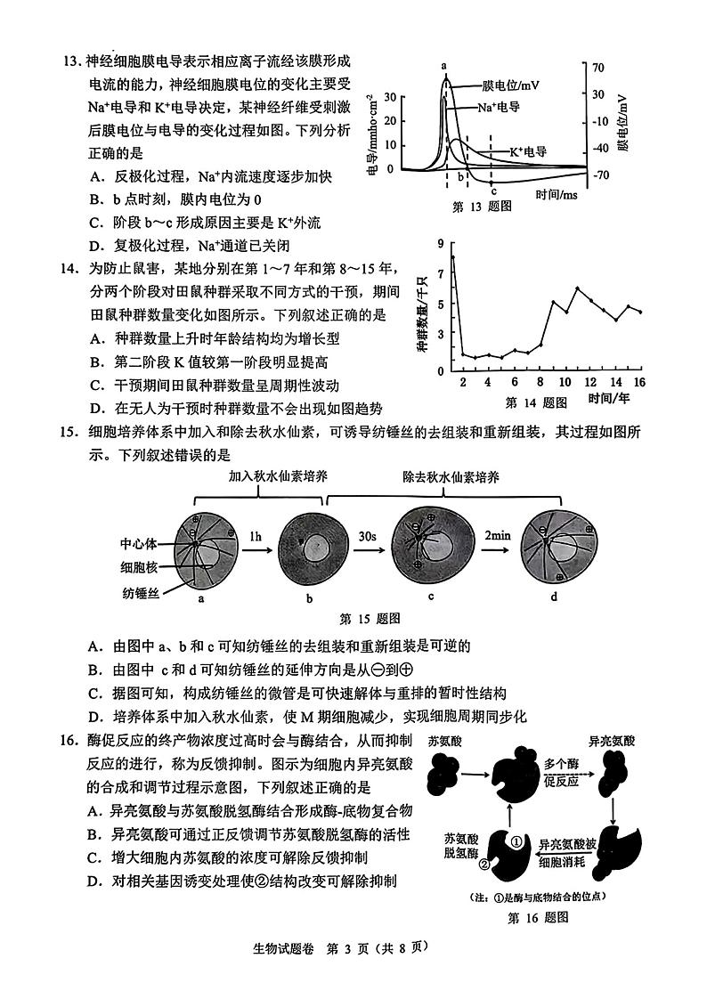 【精品解析】浙江省温州市2025届高三第一次适应性考试生物试题+答案解析(温州一模)第3页