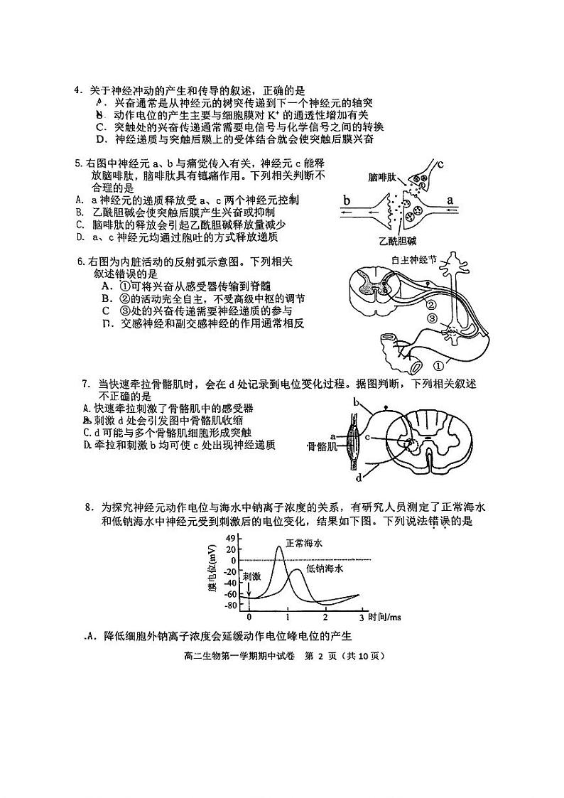 2024北京育才学校高二上学期期中生物(选考)试卷第2页
